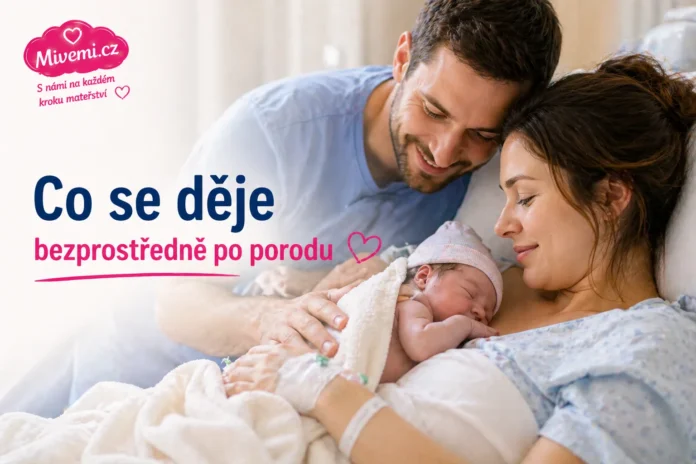 Co se děje po porodu
