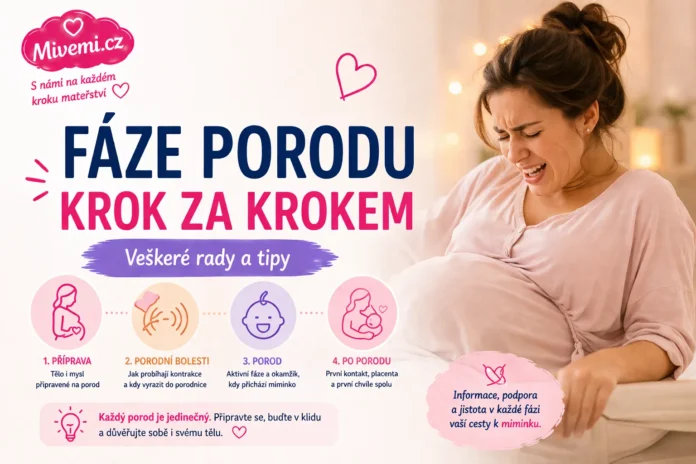 faze porodu krok za krokem Fáze porodu krok za krokem