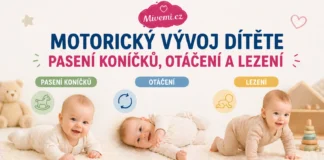 Motorický vývoj dítěte - pasení koníčků, otáčení a lezení