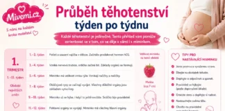 Průběh těhotenství týden po týdnu