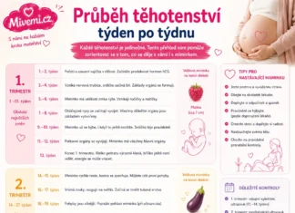 Průběh těhotenství týden po týdnu