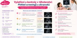 Vyšetření a kontroly v těhotenství - přehled screeningu a ultrazvuku