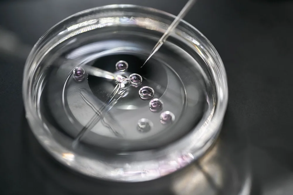 Co je KET – kryoembryotransfer