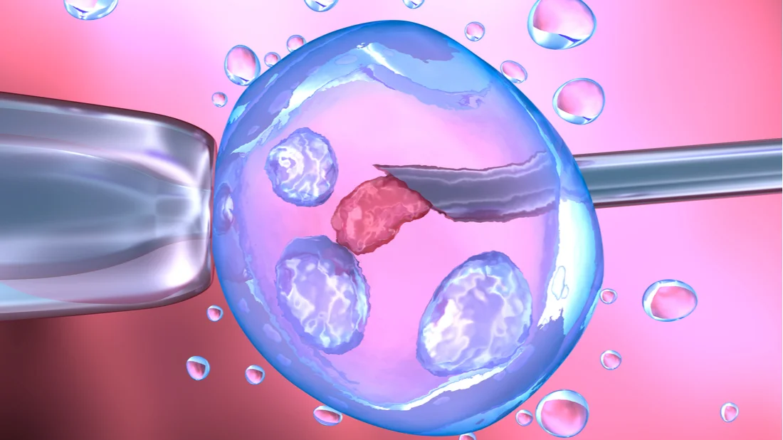 Hodnota Progesteronu před KET/ET v řízeném cyklu – klíč k úspěšnému transferu embrya