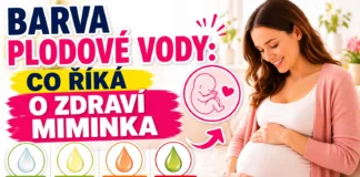 Barva plodové vody a zdraví miminka