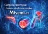 Co je corpora cavernosa