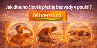 Jak dlouho přežije člověk bez vody v poušti