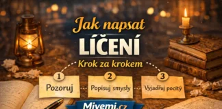 Jak napsat líčení