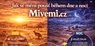 Jak se mění poušť během dne a noci