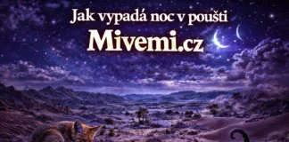 Jak vypadá poušť v noci