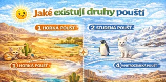 Jaké existují druhy pouští