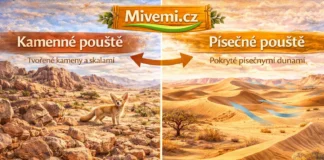 Kamenné a písečné pouště