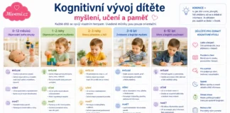 Kognitivní vývoj dítěte