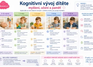 Kognitivní vývoj dítěte