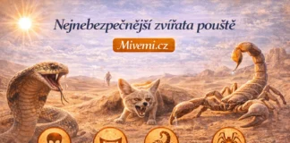 Nejnebezpečnější zvířata v poušti