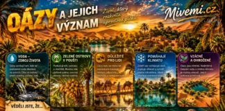 Oázy a život v pouštích