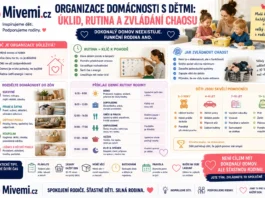 Organizace domácnosti s dětmi