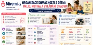 Organizace domácnosti s dětmi