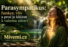 Co je parasympatikus