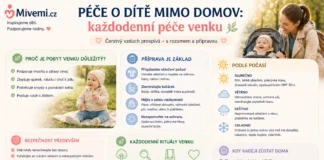 Péče o dítě mimo domov