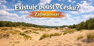 Poušť v Česku