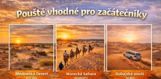 Pouště pro začátečníky