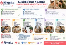 Rozdělení rolí v rodině
