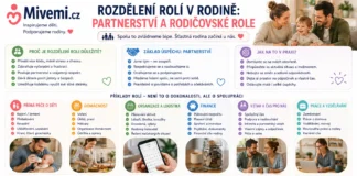 Rozdělení rolí v rodině