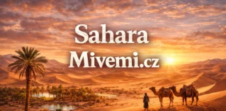Sahara poušť