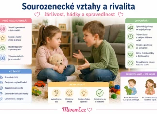 Sourozenecké vztahy a rivalita