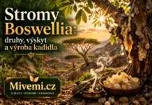 Co jsou stromy Boswellia